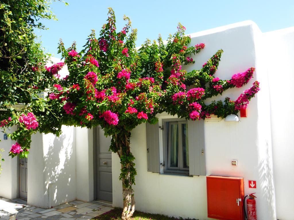 Paros Bay Hotel Parasporos Exterior foto